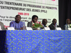 Togo: To date, the Youth Entrepreneurship Promotion Program (PPEJ) has supported around 3,000 entrepreneurs