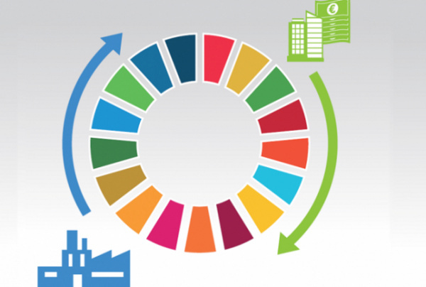 Togo’s SDG Investor Map will be ready by the end of 2024, Government says