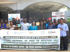 Togo's shea stakeholders push for coordination, financing access