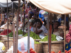 Togo scales down growth forecast from 6.6% to 6.4% for 2023