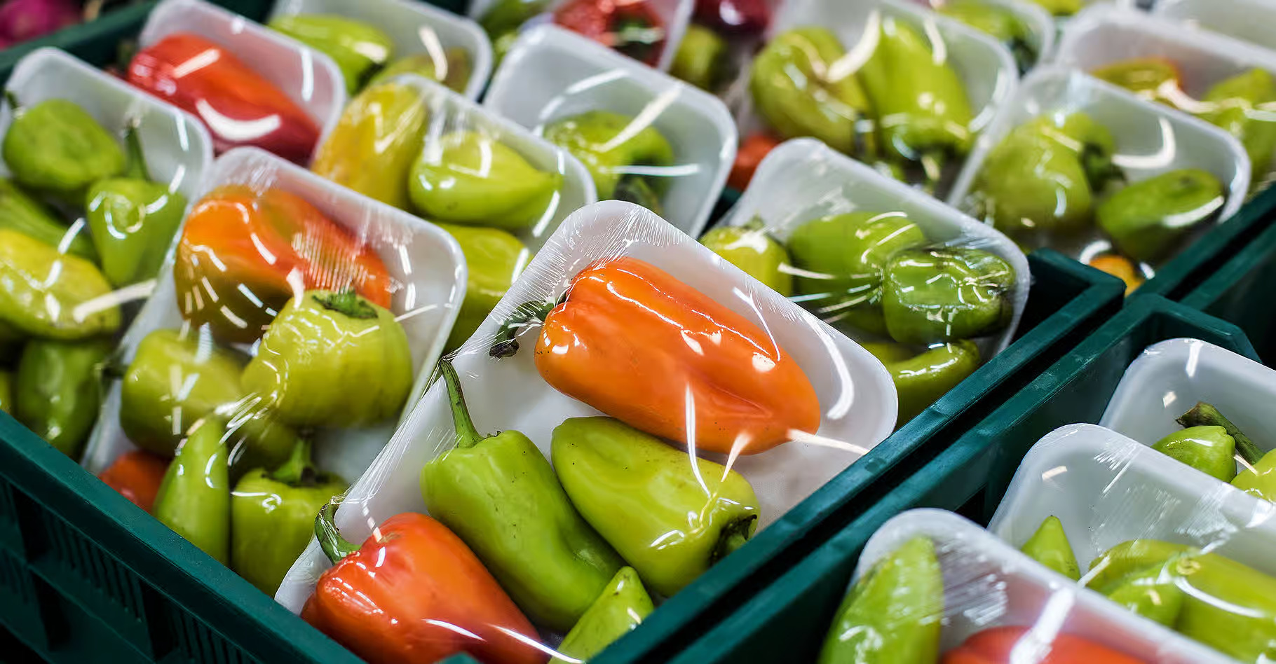 Emballages agroalimentaires : opportunités et mode d’emploi pour les TPME au Togo