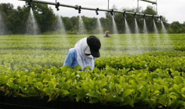 Formation agricole : De nouveaux diplômes en vue à l’INFA de Tové