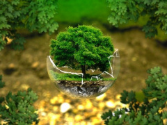 Togo to Revise National Biodiversity Strategy