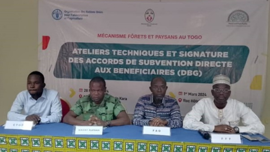 Des accords de subvention directe entre la FAO et les organisations de producteurs forestiers et agricoles