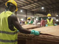 ARISE IIP Among Finalists for 2024 Reuters Sustainability Awards