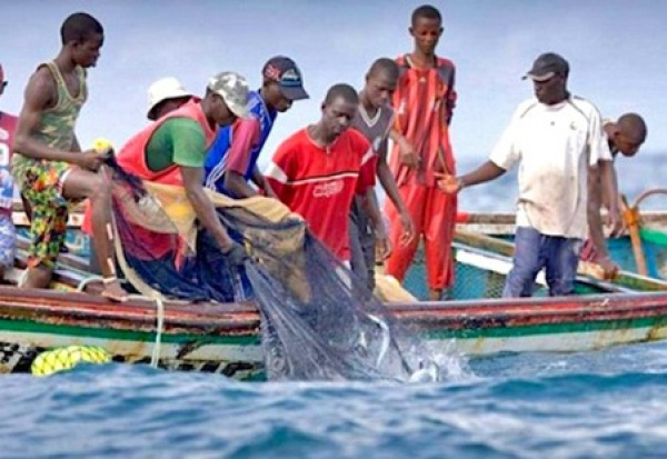 Le Togo se prépare à ratifier la convention sur les subventions à la pêche