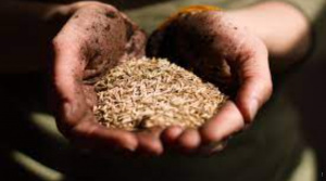 Soutien aux populations du nord-Togo : les Etats-Unis d&eacute;caissent 1,8 milliard FCFA