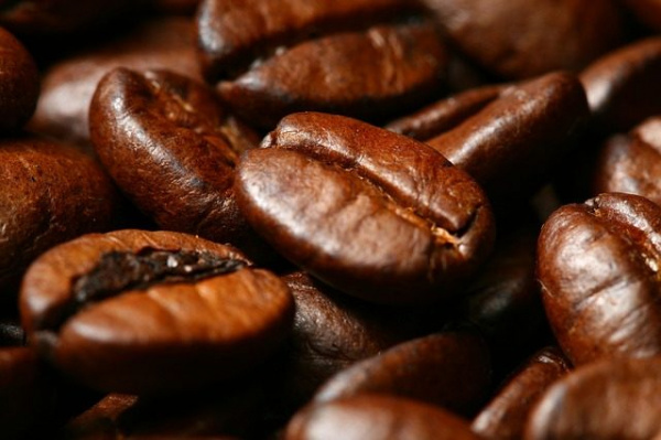 L’ACRAM va créer un centre de formation sur le café Robusta