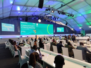 Transparence fiscale, &eacute;changes de renseignements&hellip;, &agrave; Lom&eacute;, 40 pays africains affinent la coop&eacute;ration