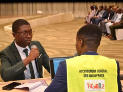 Togo: Second National Business Census to Commence in March