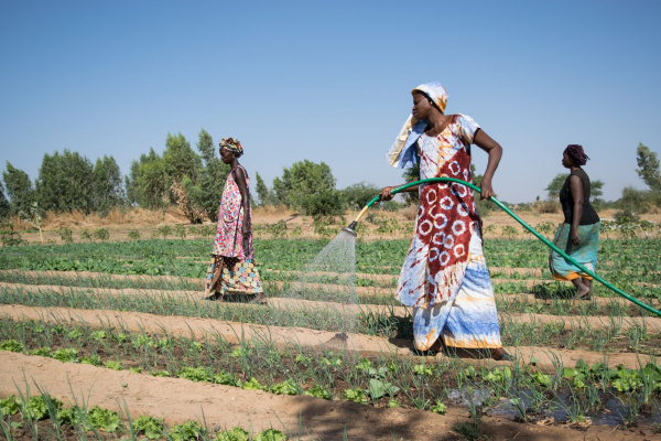 Togo : démarrage des travaux de construction de forages dans la zone de l&#039;agropole de la Kara