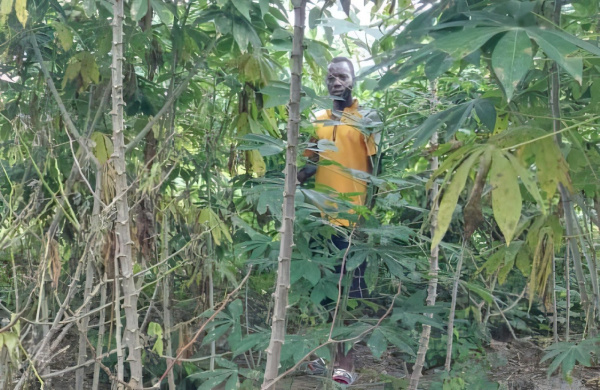 Edem Awoudi, de gérant de cyber-café à entrepreneur agricole