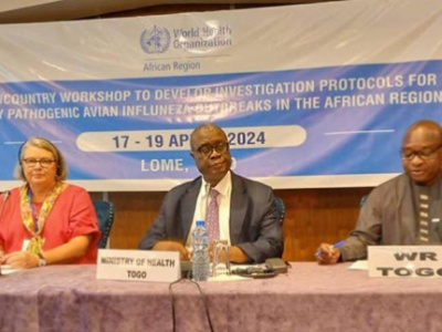 health-experts-from-various-african-countries-convene-in-lome-to-develop-protocols-for-tackling-avian-influenza-outbreaks