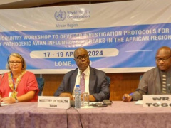 Health Experts from Various African Countries Convene in Lomé to Develop Protocols for Tackling Avian Influenza Outbreaks