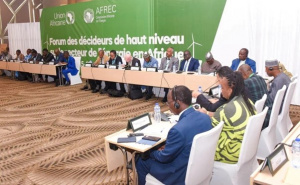 Depuis Lom&eacute;, les Etats africains explorent des solutions aux d&eacute;fis &eacute;nerg&eacute;tiques