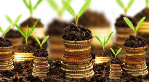 Le Mifa facilite 3,8 milliards FCFA de pr&ecirc;ts au profit du secteur agricole