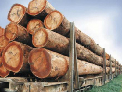 How to request a firewood and charcoal pass in Togo?