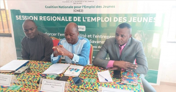 Togo : situation de l&#039;emploi des jeunes dans la région des Savanes (CNEJ)