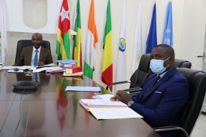 &laquo; D&eacute;cennie des racines africaines &raquo; : O&ugrave; en est-on avec les projets ?