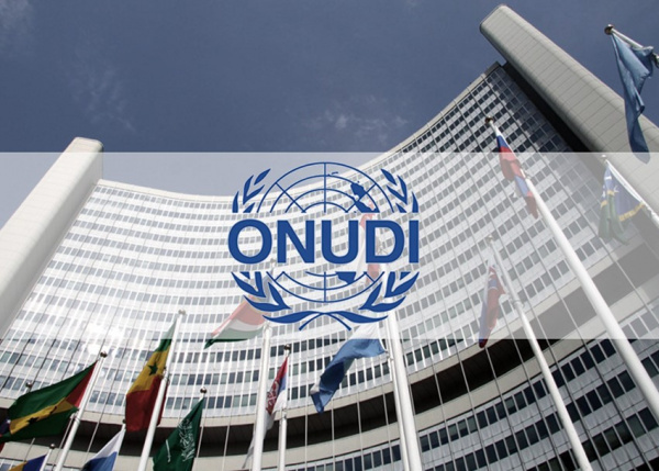 UNIDO to provide Togo $2.5 million to support its economic restart after Covid-19 crisis