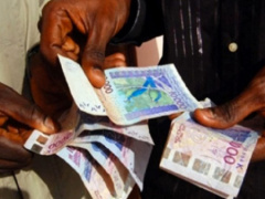 Haplucia seeks consultants to draw its anti-corruption strategy