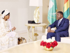 Togo: WHO Resident Representative reviews partnership with President Gnassingbé