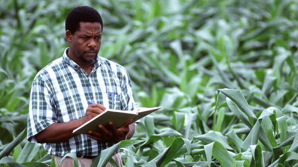 Covid-19: Lomé launches agricultural response plan to help farmers cope amidst the pandemic