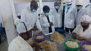 Promotion de la transformation locale : Kayi Mivedor visite l'usine &ldquo;Cajou du Centre&rdquo;