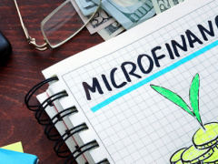 Loans given by microfinance institutions in Togo grew by 8% in Q3 2019, y/y