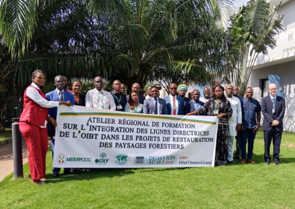 Restauration foresti&egrave;re : Lom&eacute; r&eacute;unit 14 pays africains autour de la gestion durable des paysages