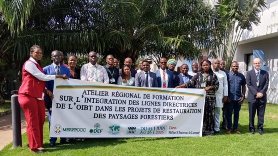 Restauration foresti&egrave;re : Lom&eacute; r&eacute;unit 14 pays africains autour de la gestion durable des paysages