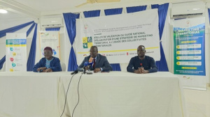 Togo adopts national framework to support local investment promotion