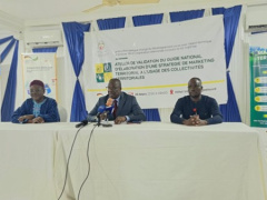 Togo adopts national framework to support local investment promotion