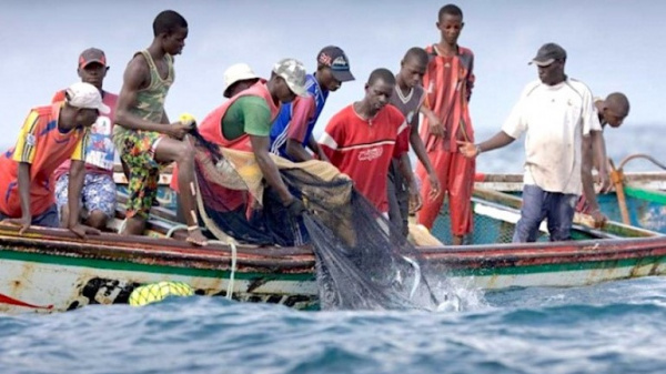 Le Togo lance une campagne d’immatriculation des pirogues de pêche