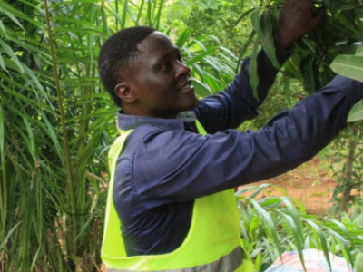 togo-establishes-inspectorate-to-enforce-environmental-standards