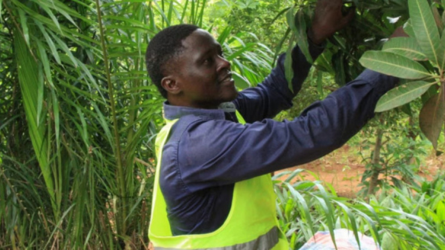 togo-establishes-inspectorate-to-enforce-environmental-standards