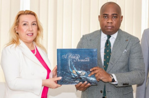 Togo, Turkey Eye Direct Lom&eacute;-Mersin Logistics Corridor