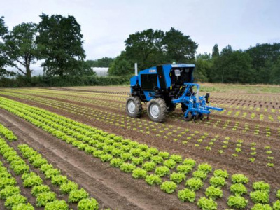 agriculture-togolaise-entre-transformations-et-defis