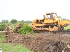 Togo: IFAD Steps Up Support for PRIMA, New Investments Expected in 2026