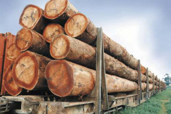 Comment obtenir un laissez-passer pour les bois de chauffe et le charbon de bois ?