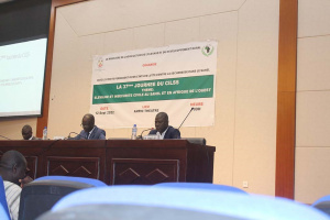 L&rsquo;&eacute;levage face &agrave; l&rsquo;ins&eacute;curit&eacute; civile sous-r&eacute;gionale, au c&oelig;ur d'une rencontre du CILSS &agrave; Lom&eacute;