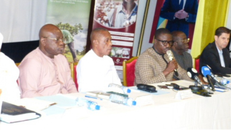 Relance du coton au Togo : une feuille de route 2025-2030 en préparation