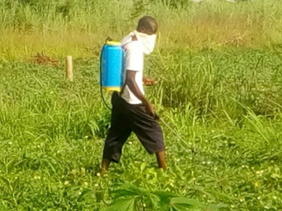 togo-disburses-cfa4bn-to-expand-grassroots-financial-inclusion