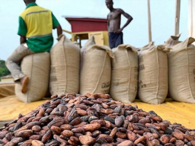 togo-baisse-des-prix-indicatifs-du-cafe-et-du-cacao