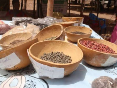 togo-hosts-west-african-peasant-seed-fair-through-dec-11