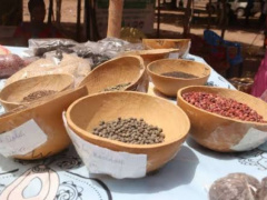 Togo Hosts West African Peasant Seed Fair Through Dec. 11