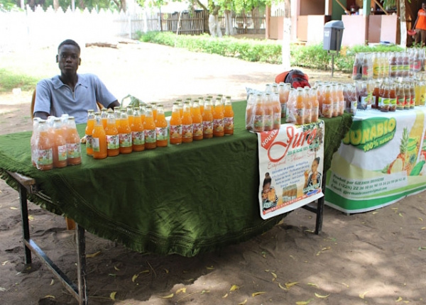 Togo : le secteur agricole maintient la dynamique de croissance, porté par divers fonds et mécanismes innovants