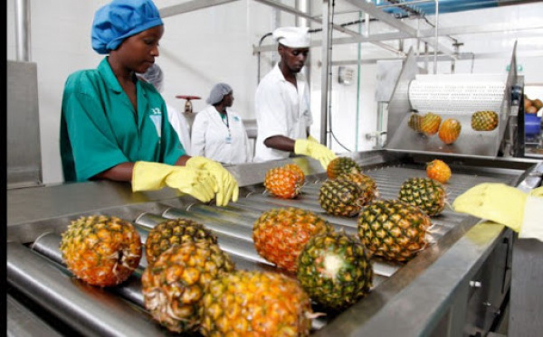 Togo : les restrictions de mobilité anti Covid-19 peuvent affecter plus de 2 millions d’emplois dans le secteur alimentaire