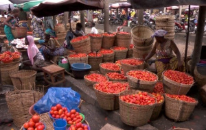 Regional disparities drive food price gaps across Togo