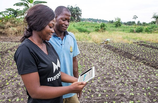 Togo: bientôt un centre de formation agricole à Tindjassi dans la région Centrale